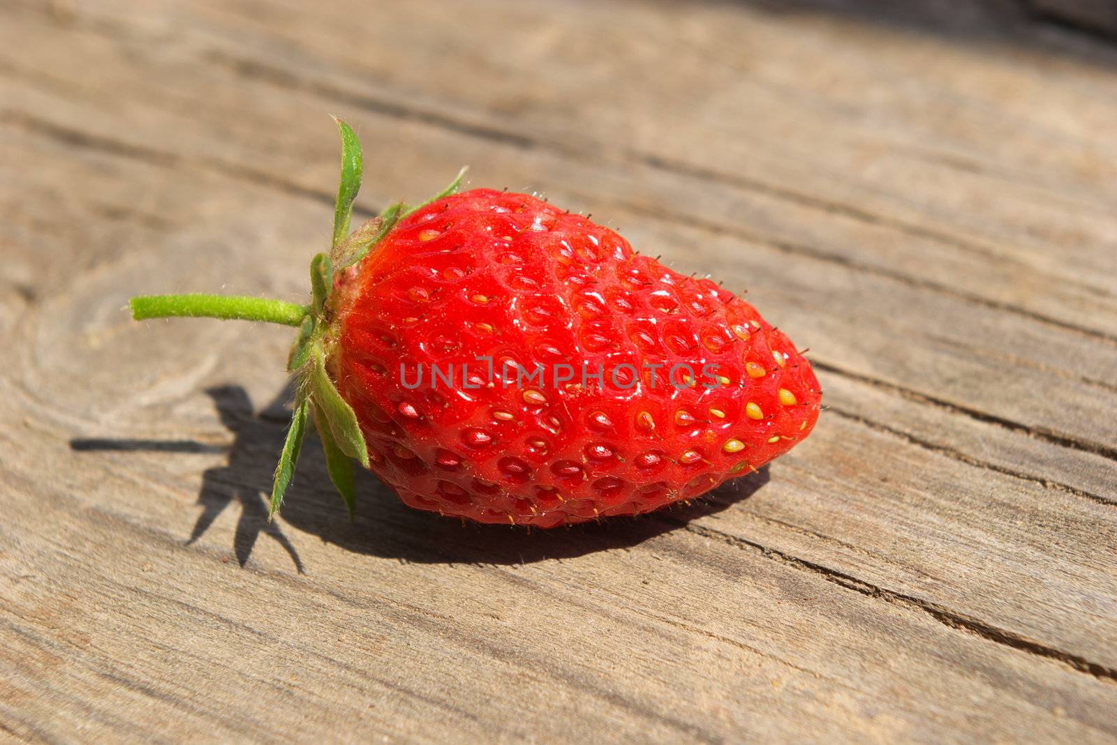 macro photo of the ripe berry of the strawberry