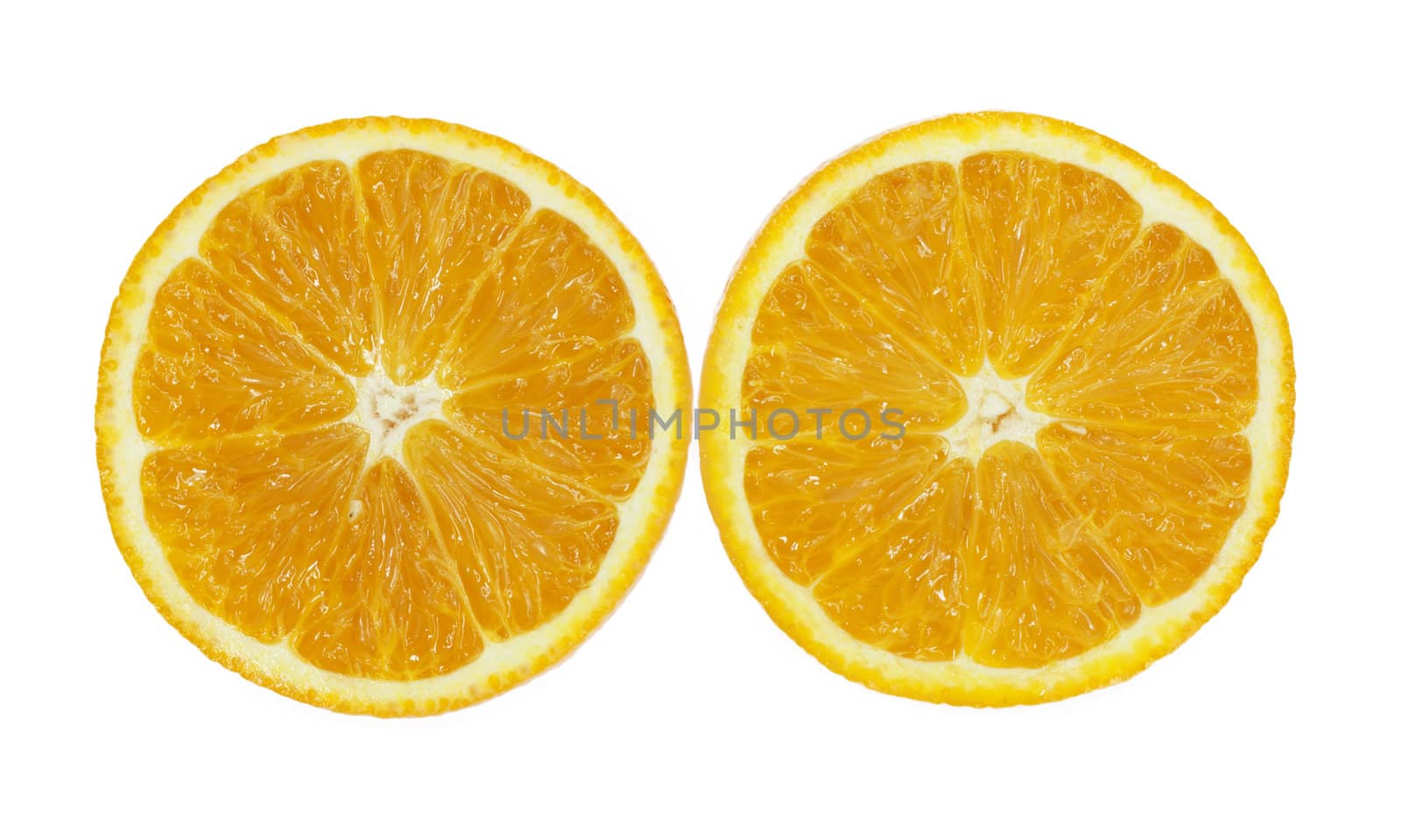 oranges on white background 