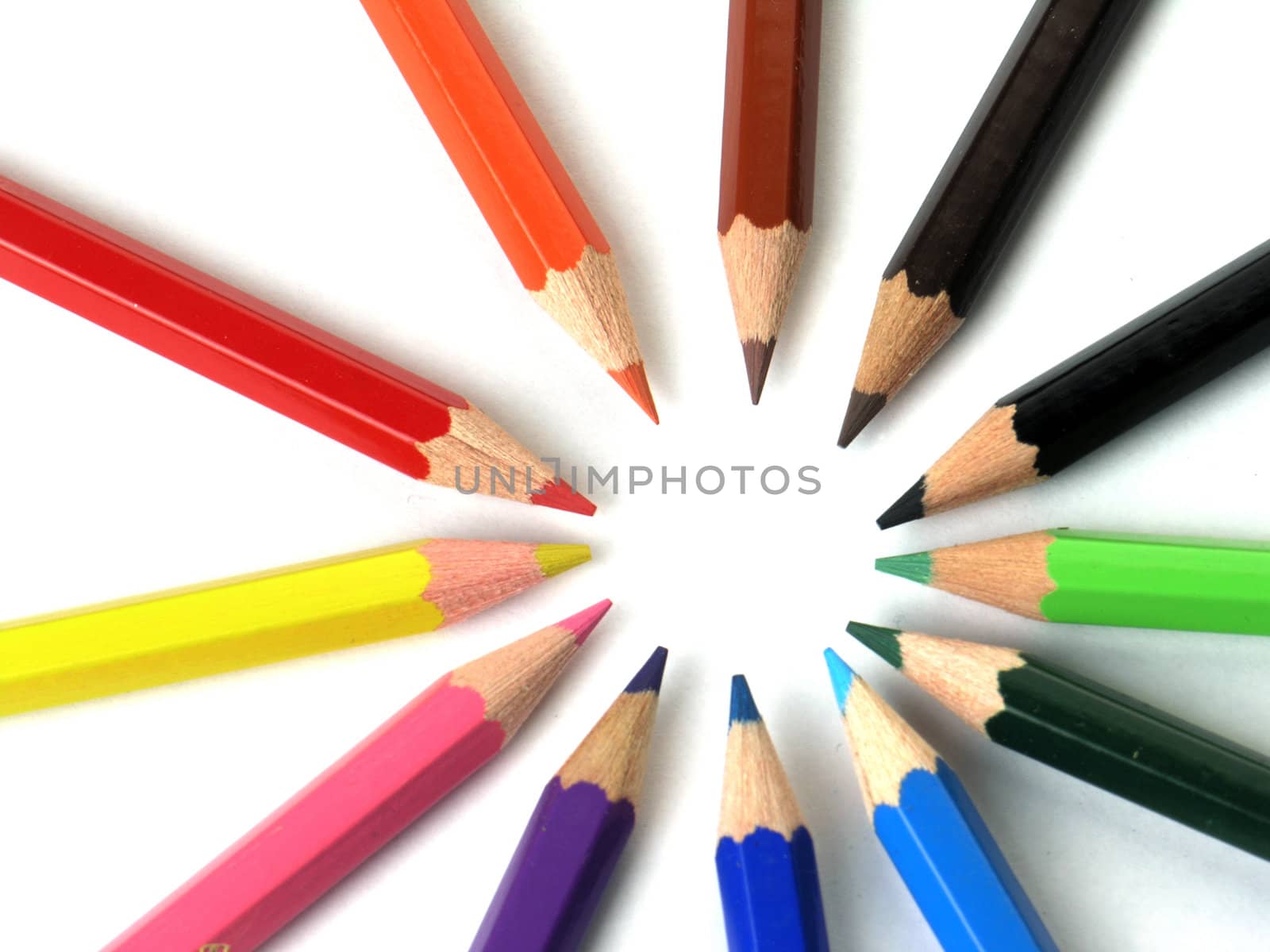 Colored Pencils in a Row on white background