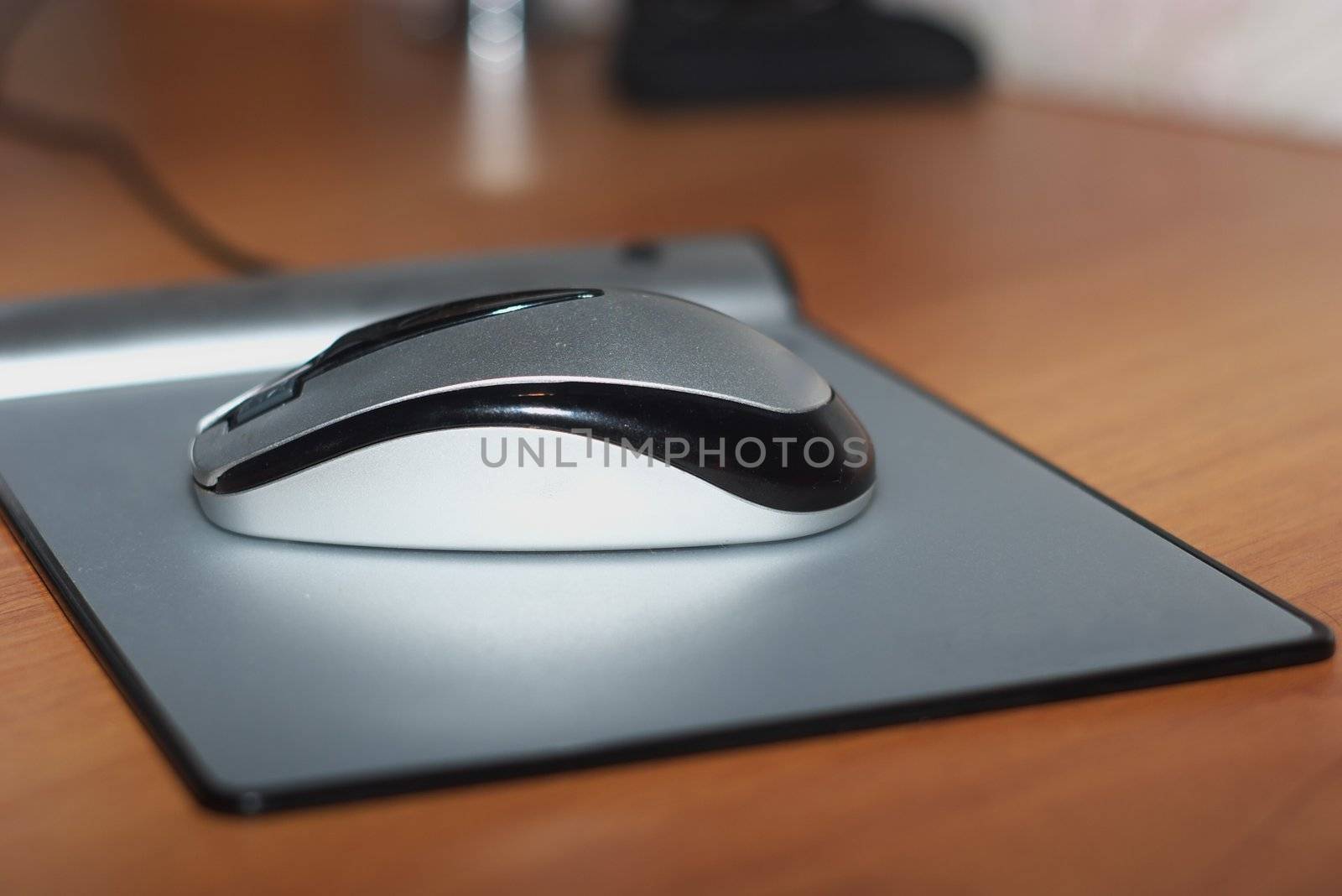 photo of the silvery computer mouse