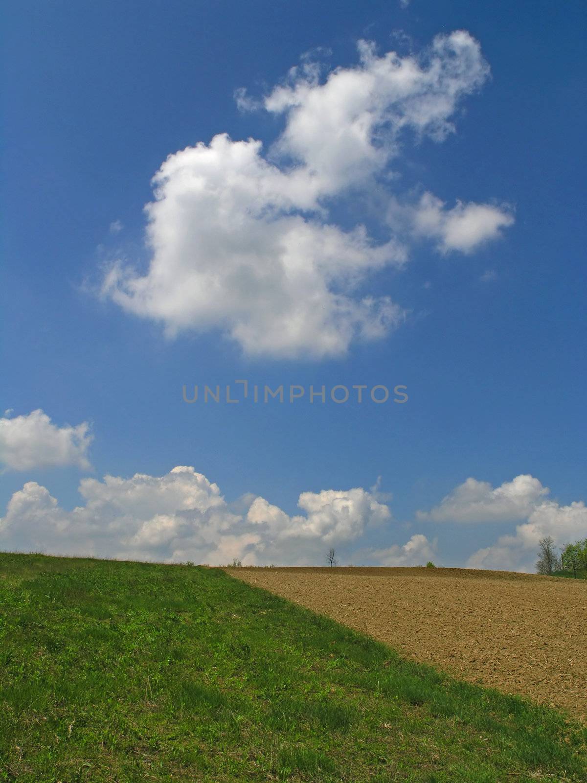 Agricultural field and blue sky