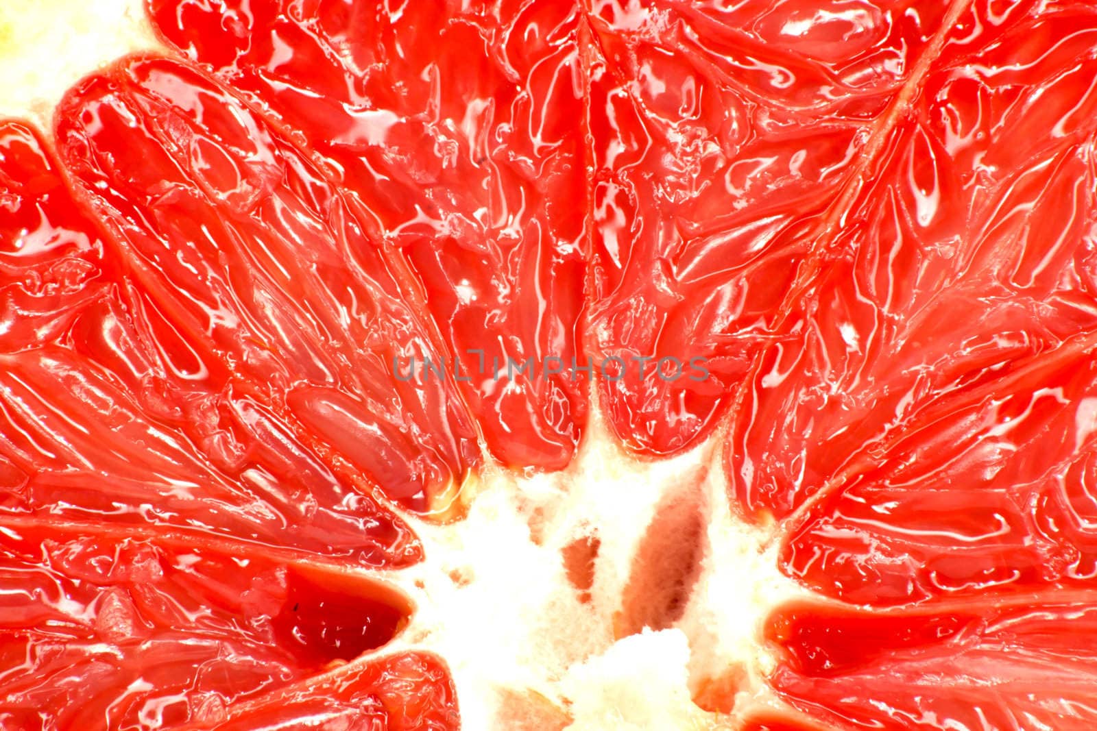 Red grapefruit close-up macro shot  by schankz