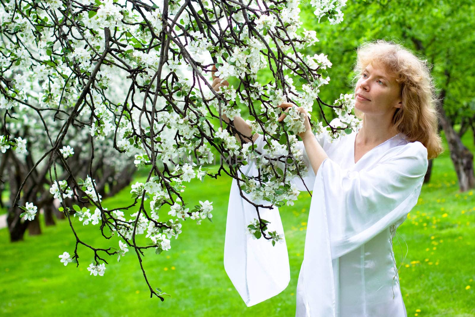 Tne blonde girl in white dress and apple-tree with white flowers

