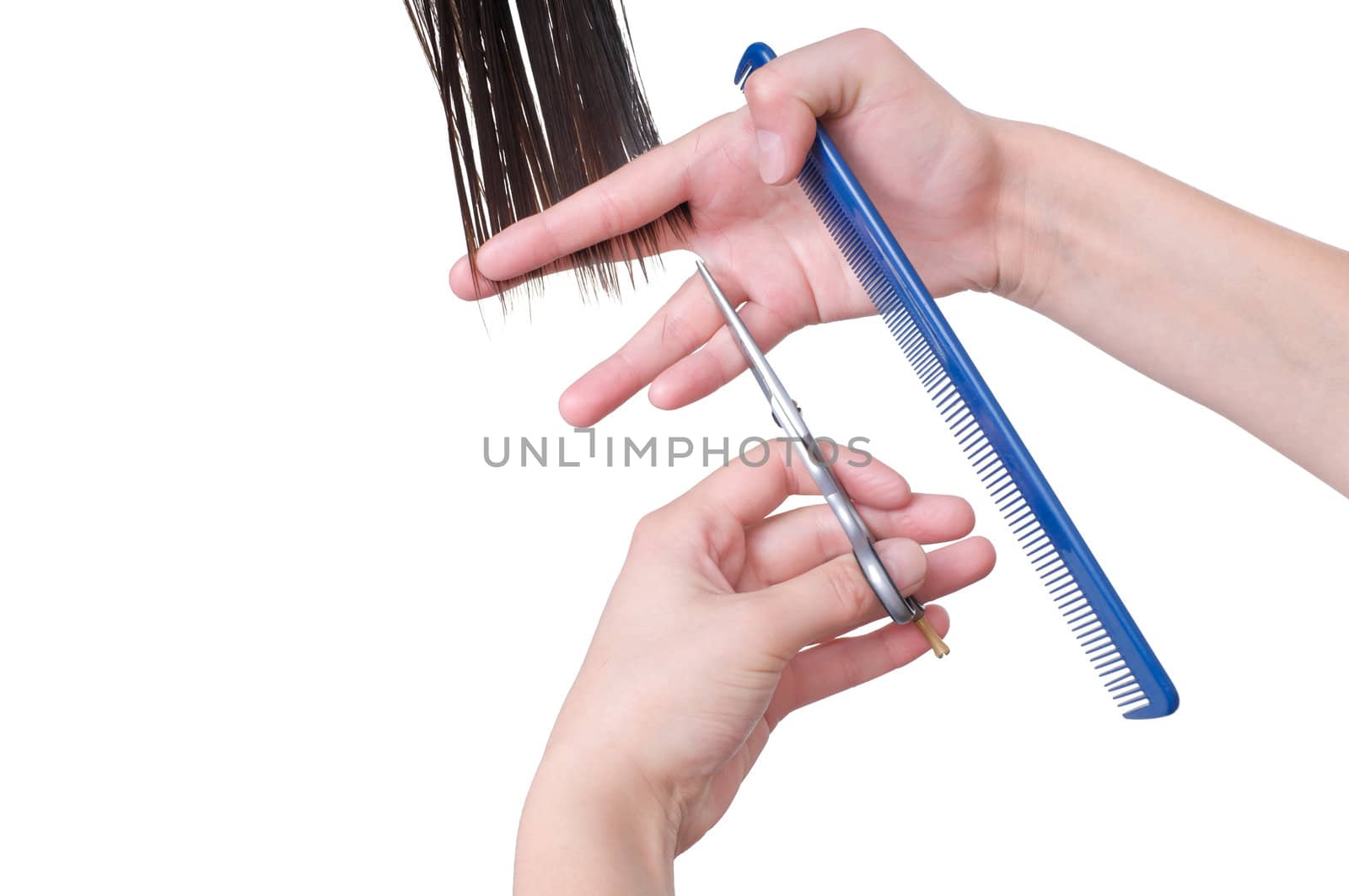 hairdresser is cutting young woman