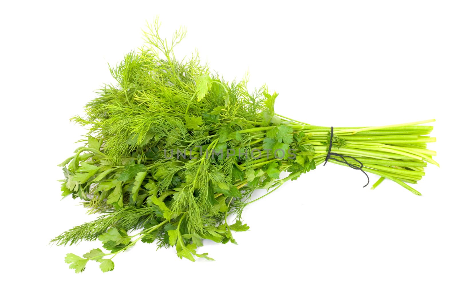 dill and parsley isolated on a white background 