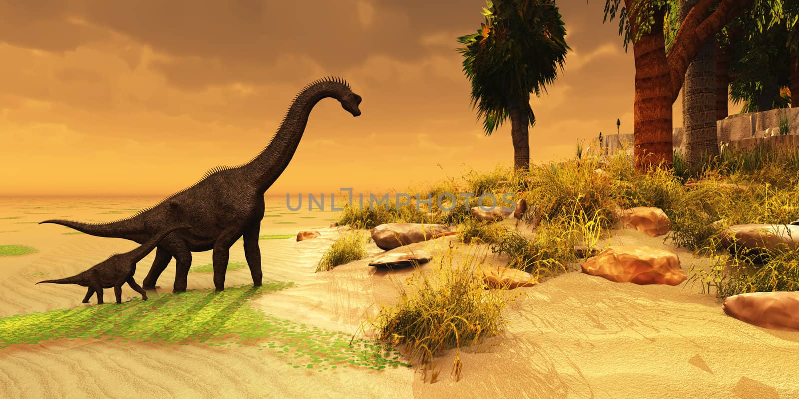 A mother Brachiosaurus Dinosaur brings her offsring to an island habitat in the Jurassic Era.