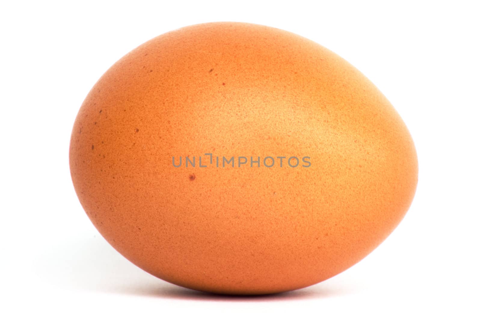 egg . macro