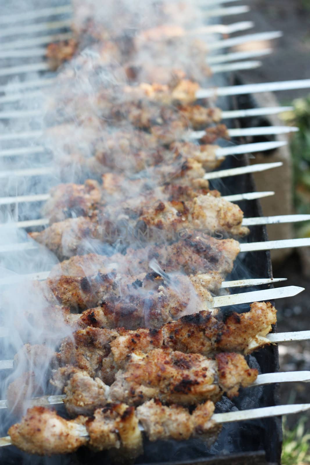 Shish kebab 