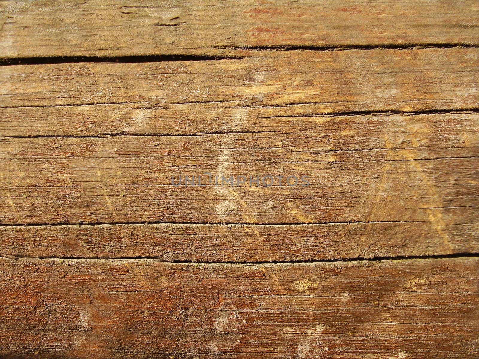 High resolution natural wood grain texture
    