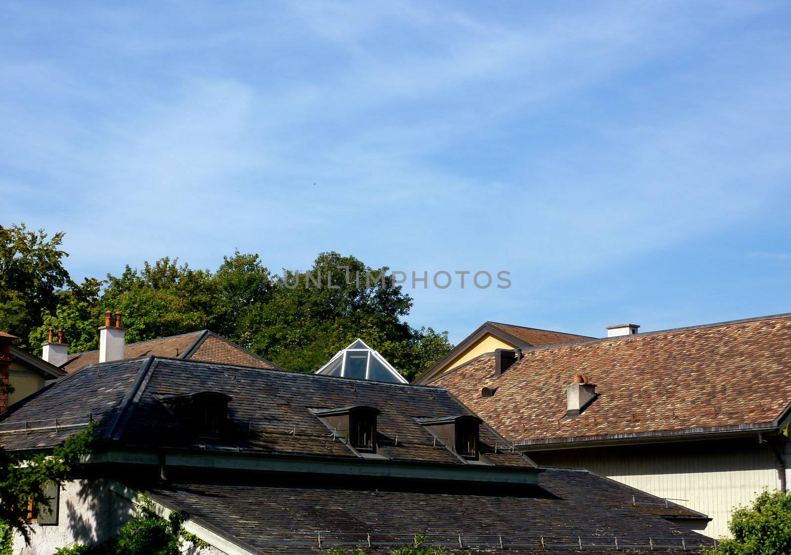 Brown roofs made of tiles among trees by little cloudy weather