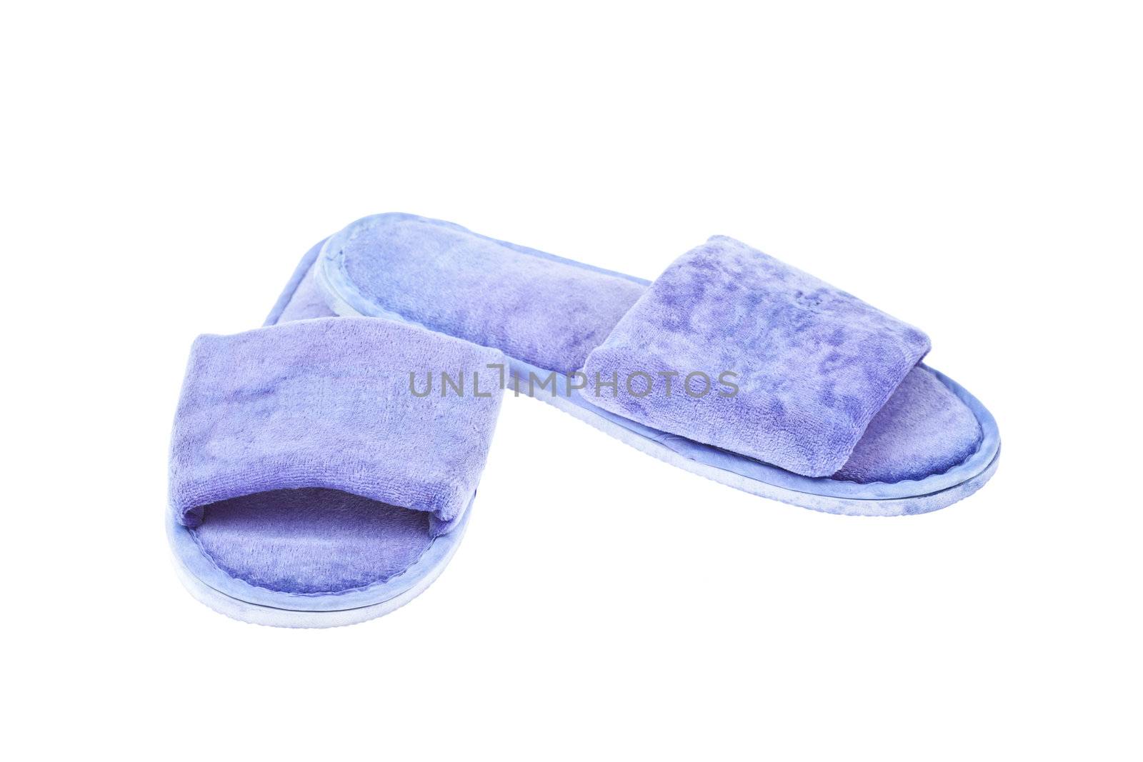 slippers isolated on the white background