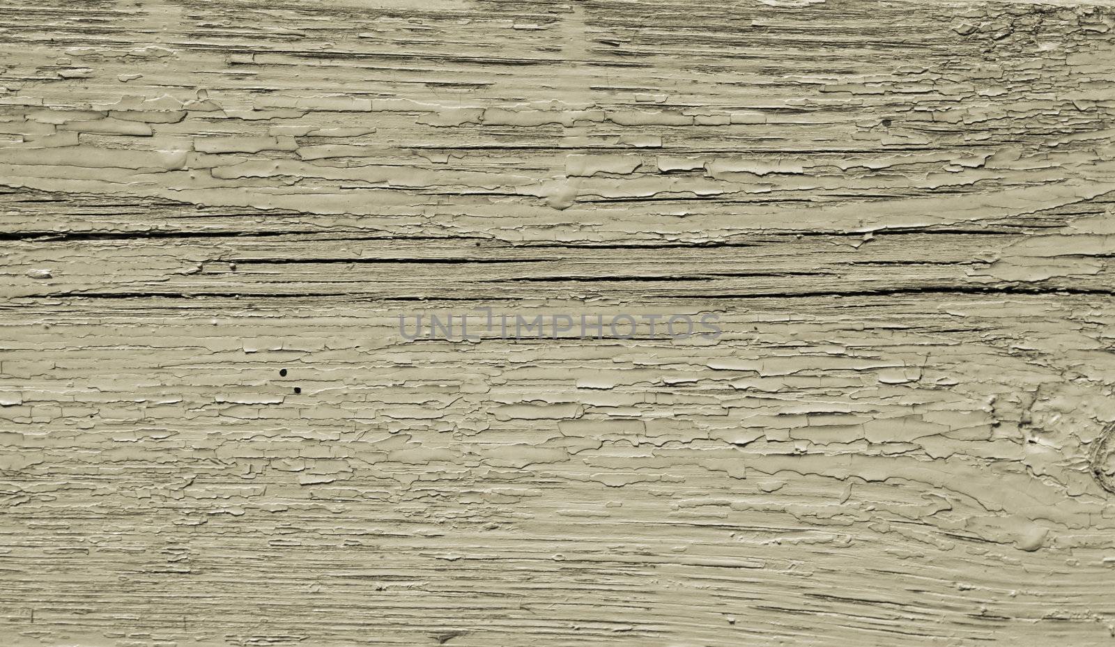 wood texture 