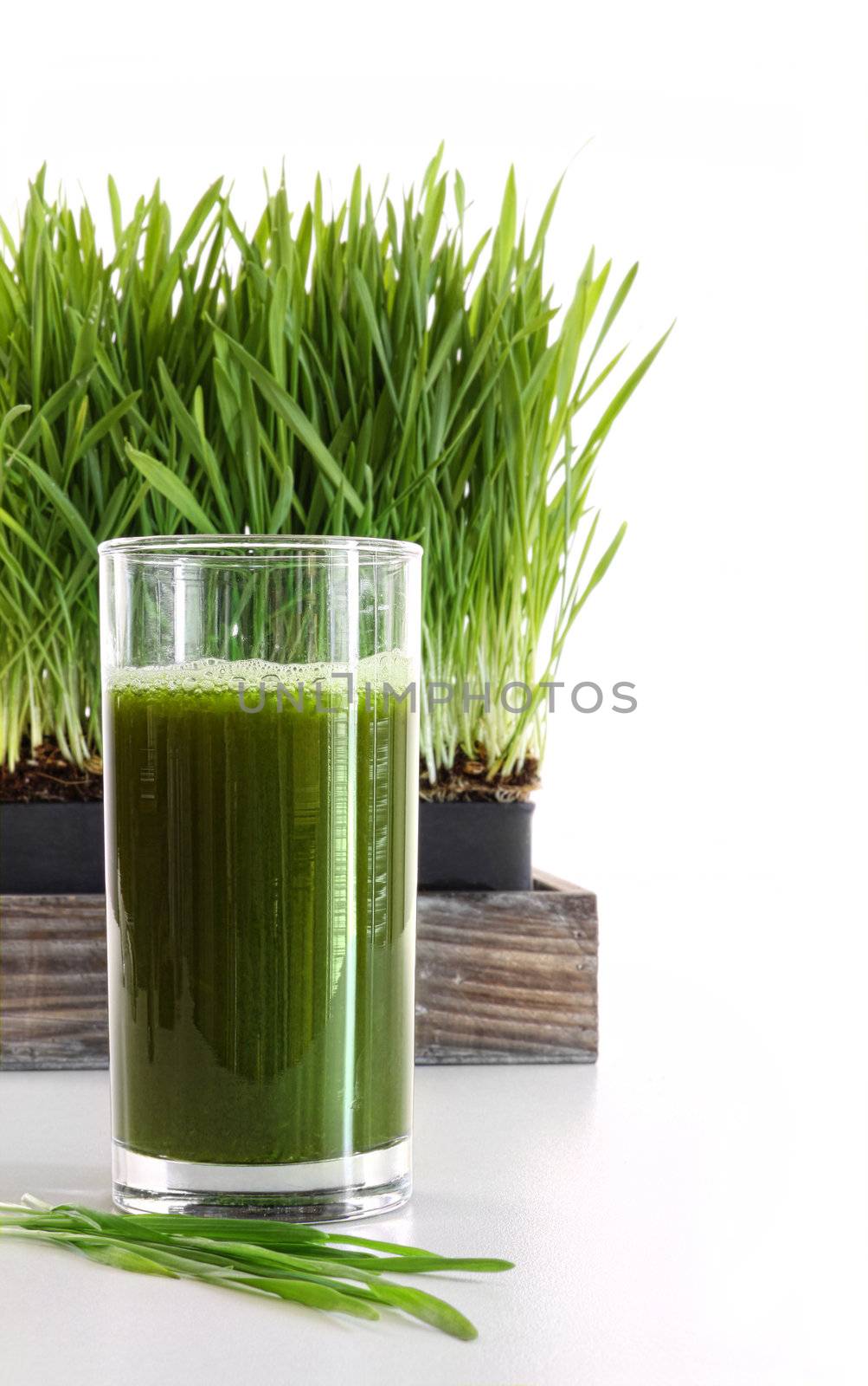 Glass of wheatgrass on white  by Sandralise