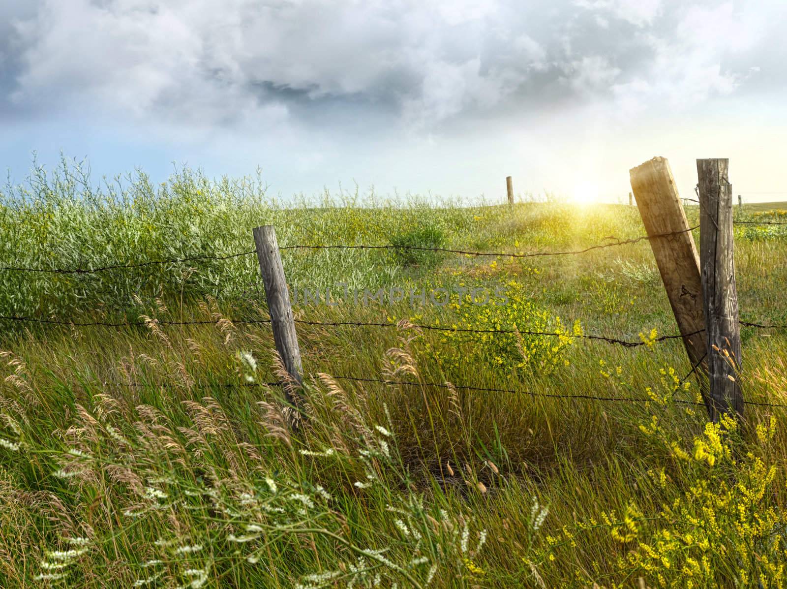 Old country fence on the prairies in Saskatchewan