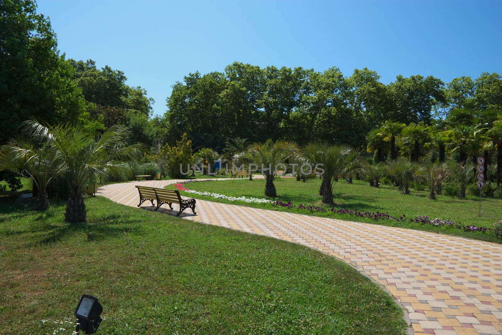 A stone walkway winding its way through a tranquil garden