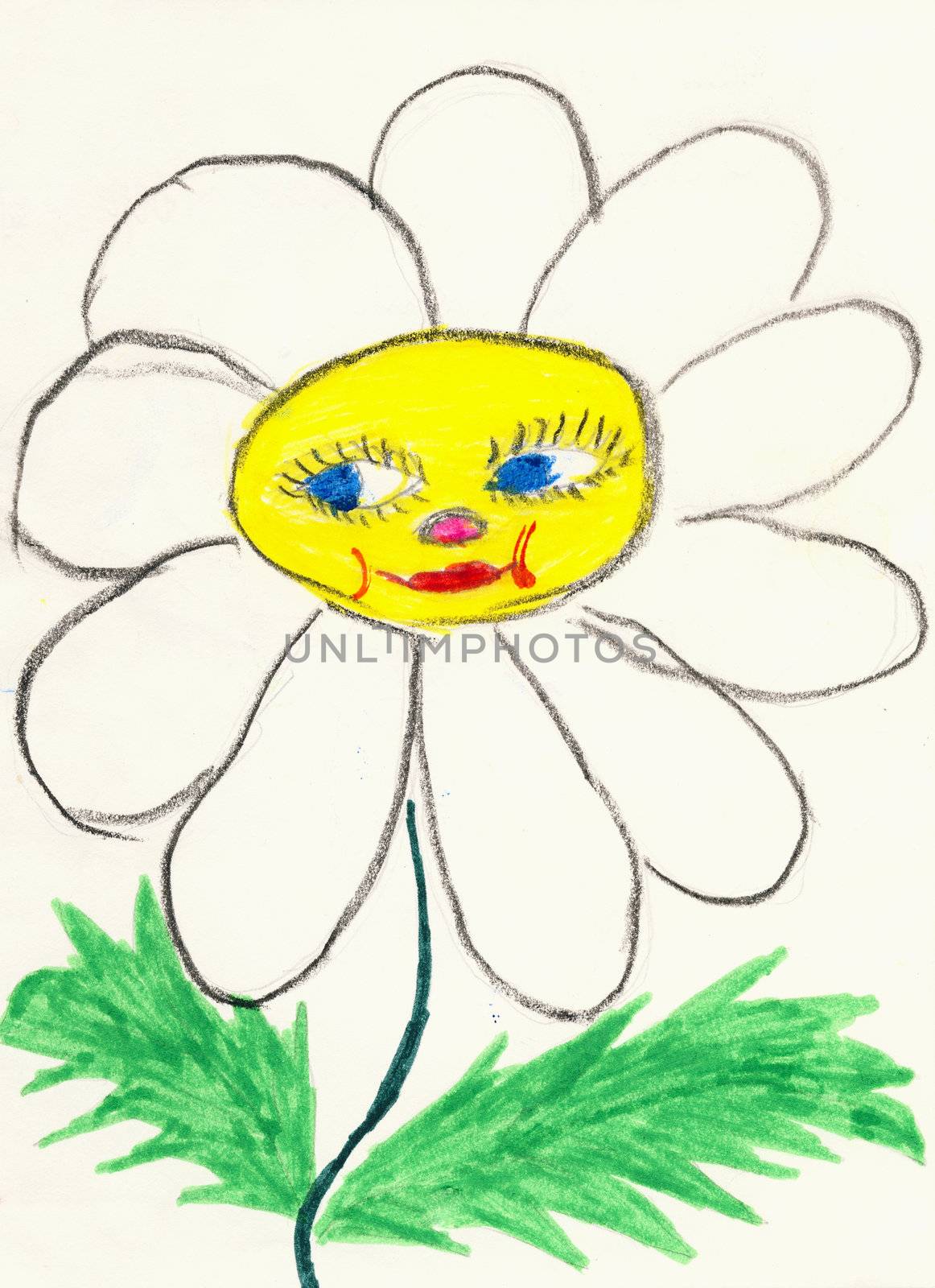 Naive color drawing on a white paper made the child - chamomile flower with face