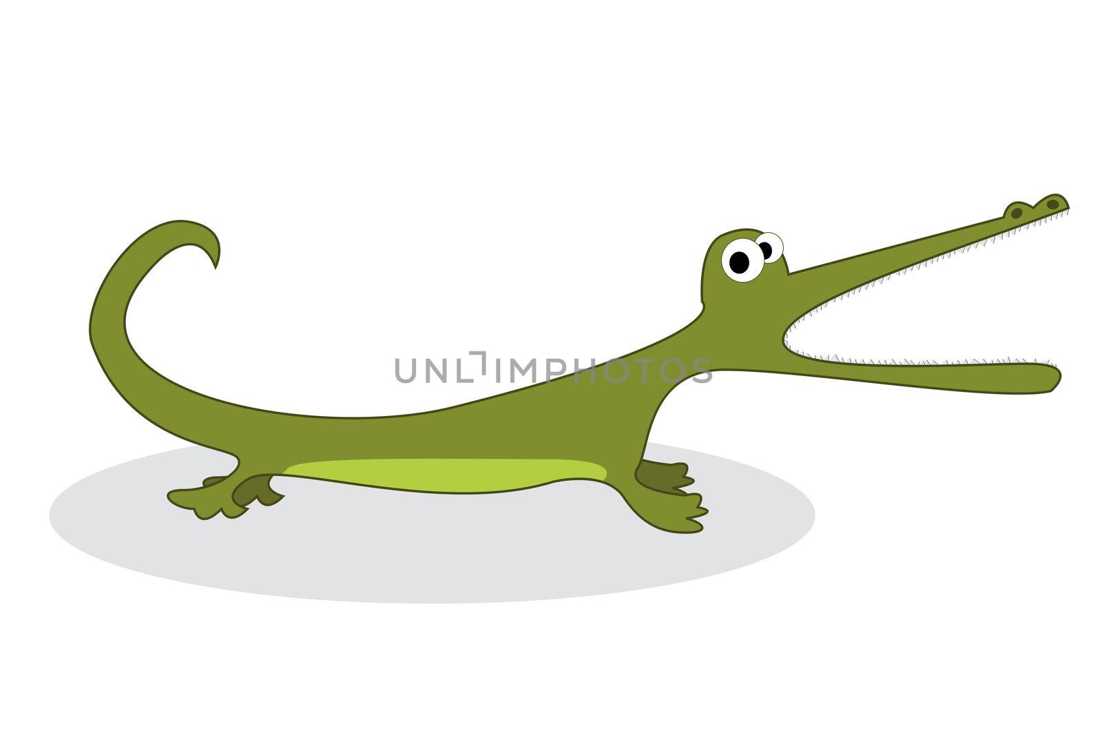 Clip art crocodile, isolated object over white background