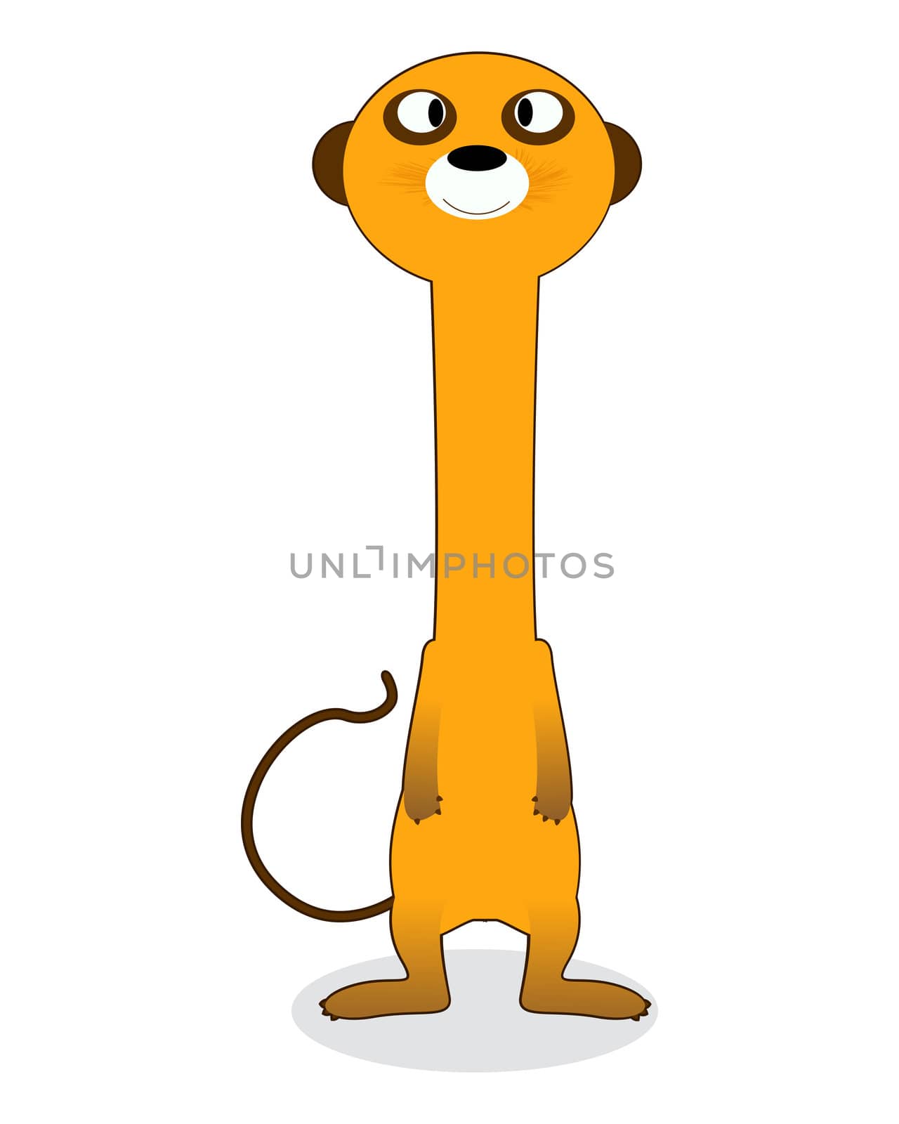 Clip art meerkat, isolated object over white background