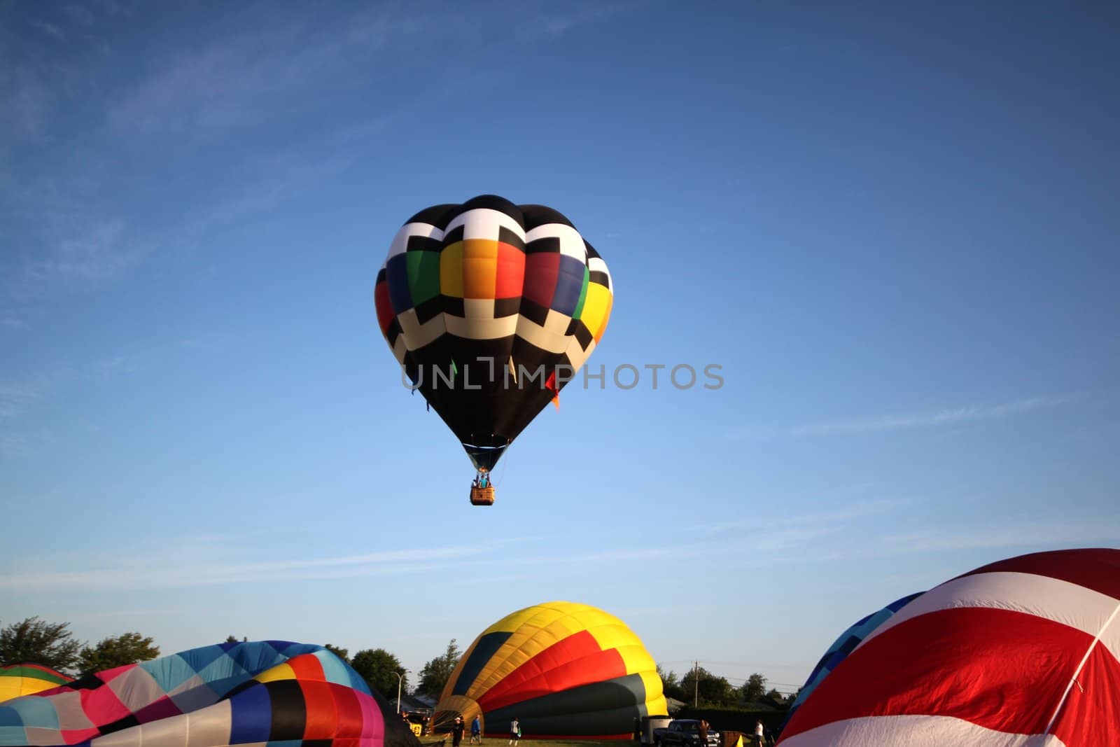 Hot air balloons getting ready to take off