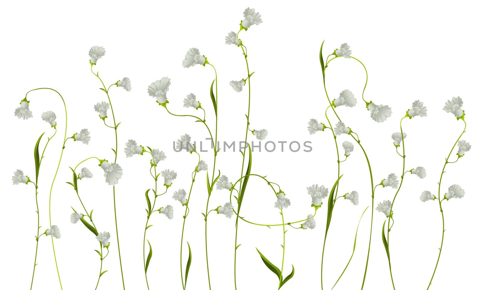 Realistic flower drawing against white background