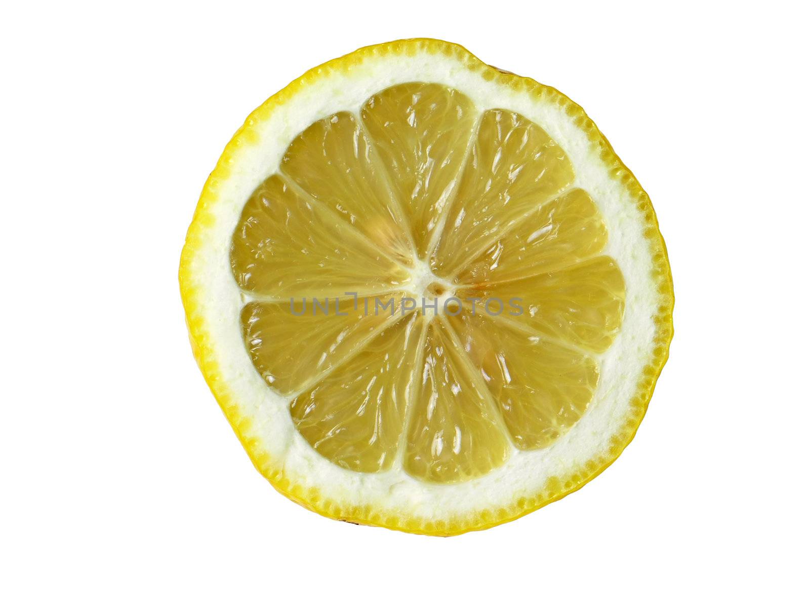 Yellow Lemon on white background