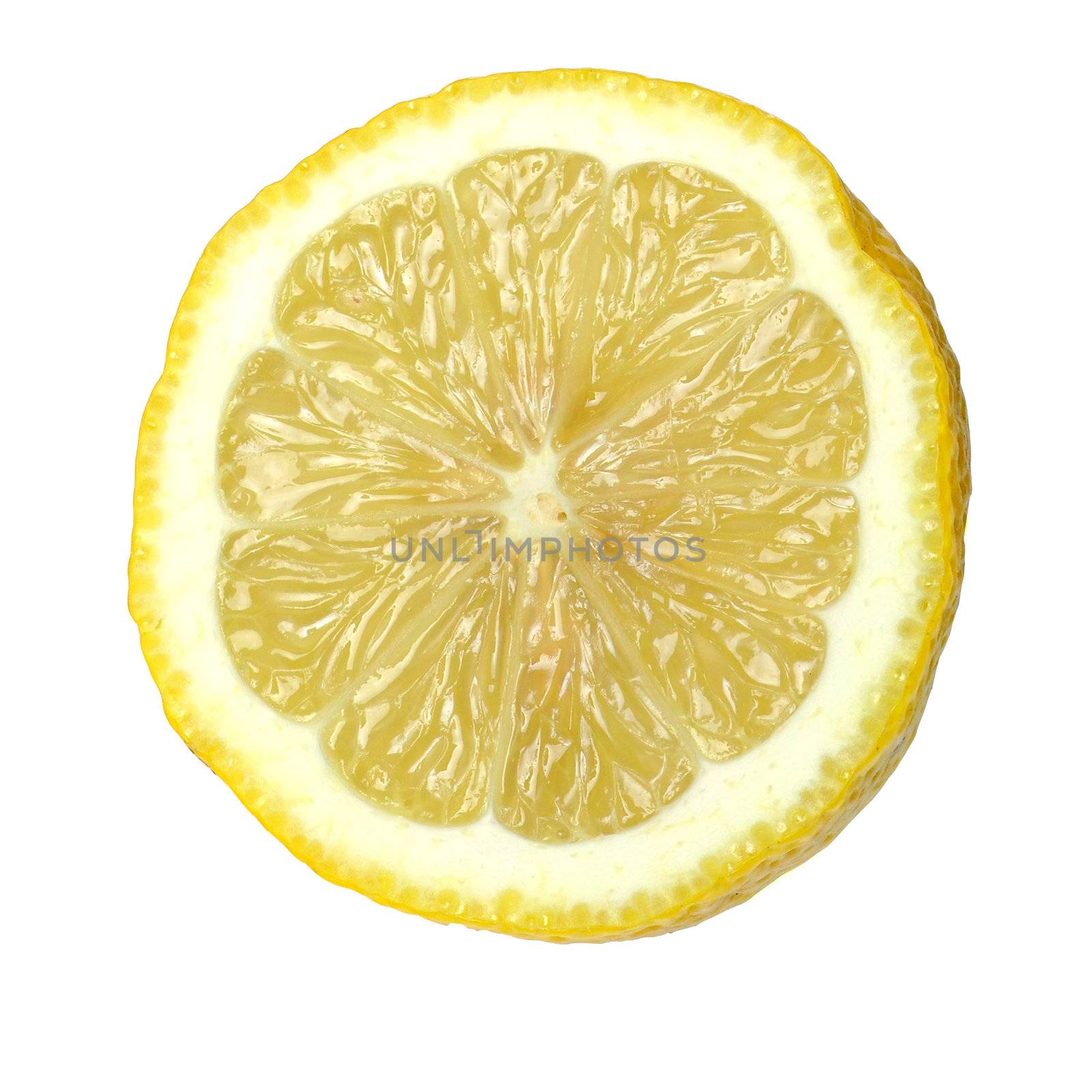 Yellow Lemon on white background