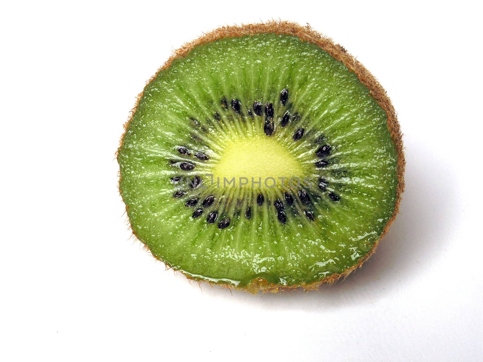 Kiwi by adamr