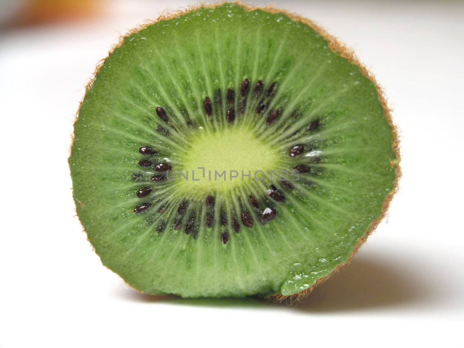 Kiwi by adamr