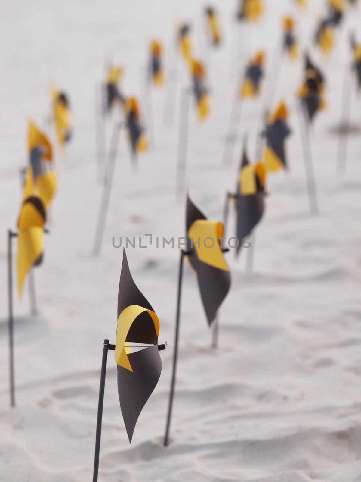Rows of colorful yellow and black fans buried in sand