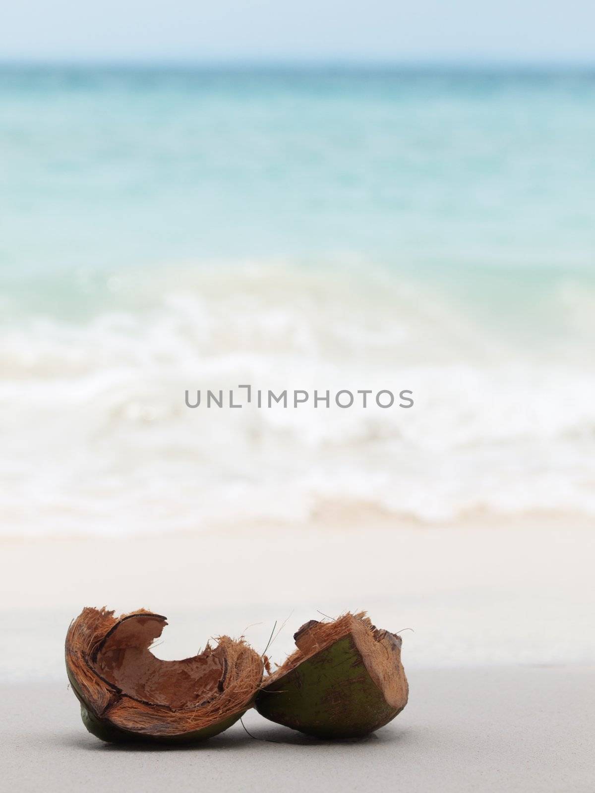Open coconut shells on the shore of a white sand beach