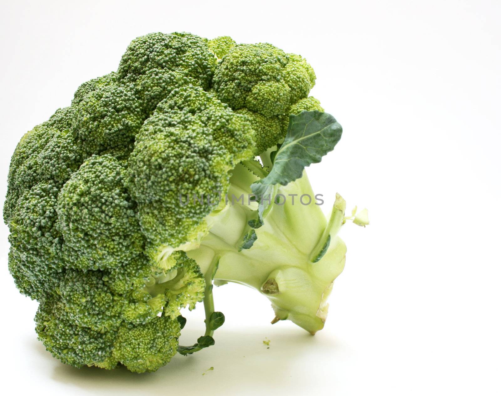 broccoli by keki
