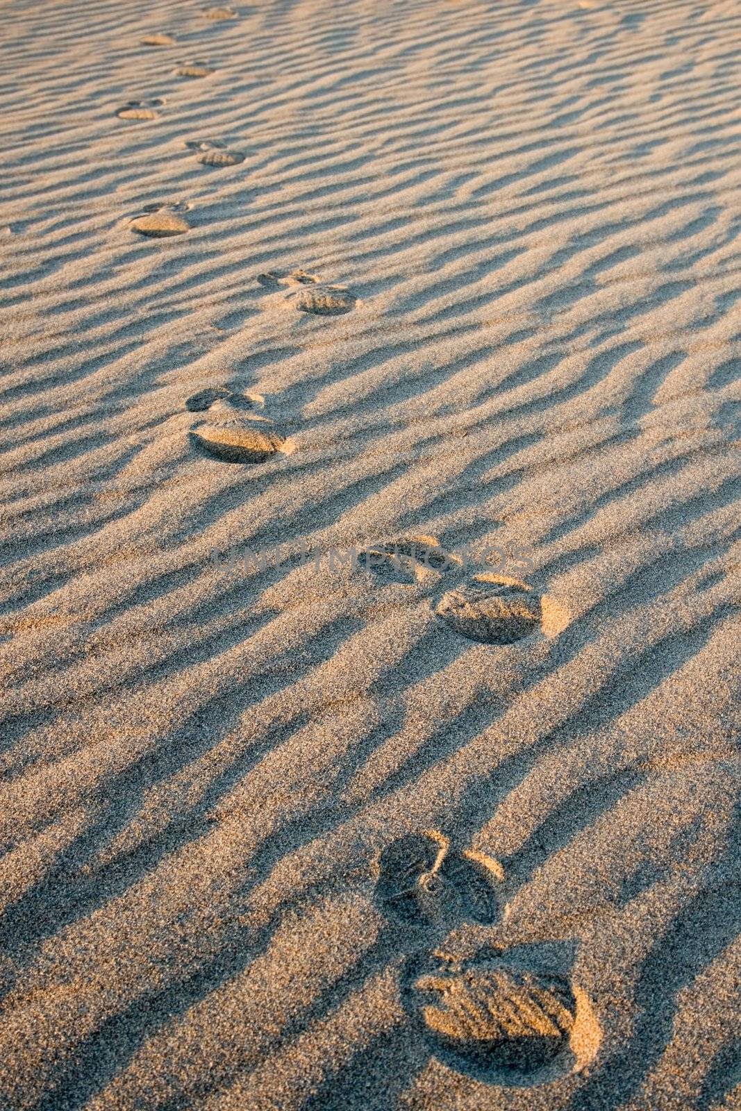 Footprints in the desert or beach sand