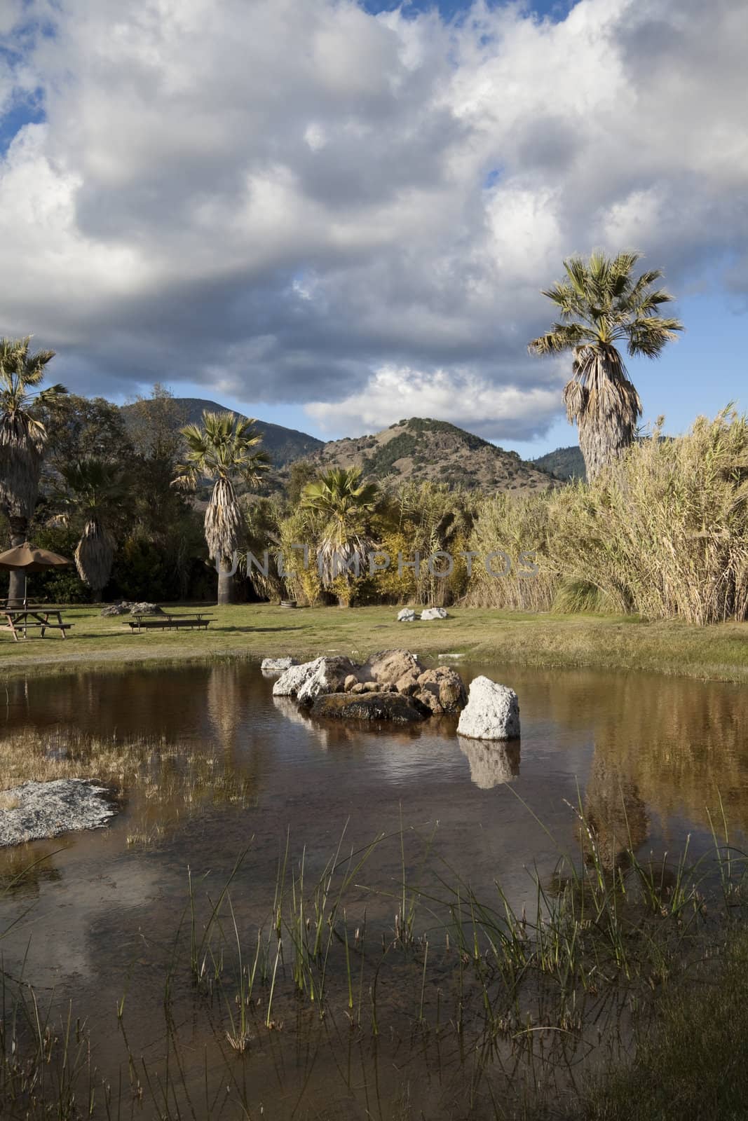 A natural pond with water and fall colors