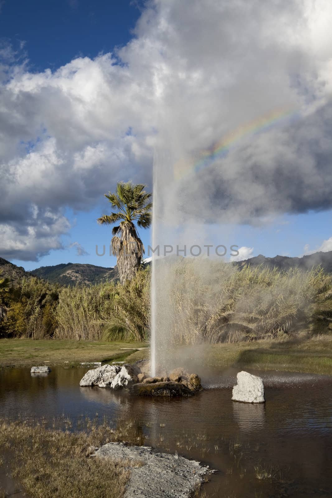 A natural geyser shooting water out of the ground and into the air