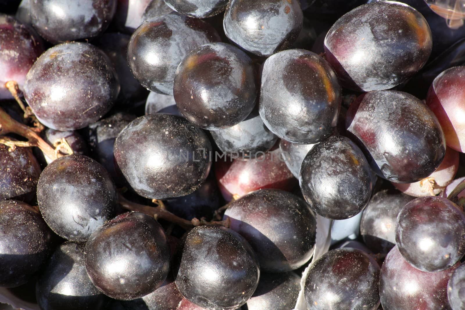 Grapes by hanhepi