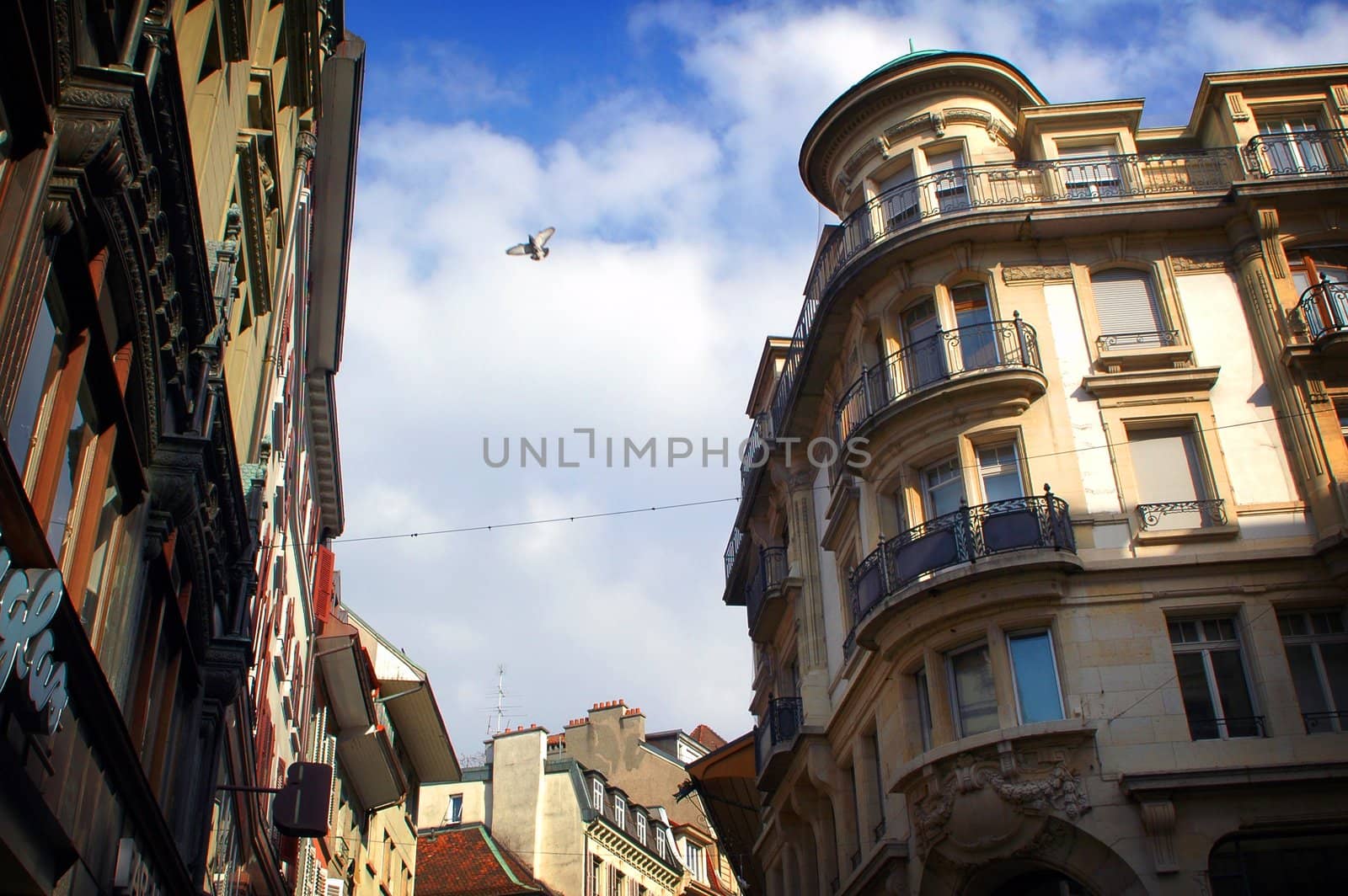 Image of buildings in Lausanne Switzerland with a Pigeon flying above.