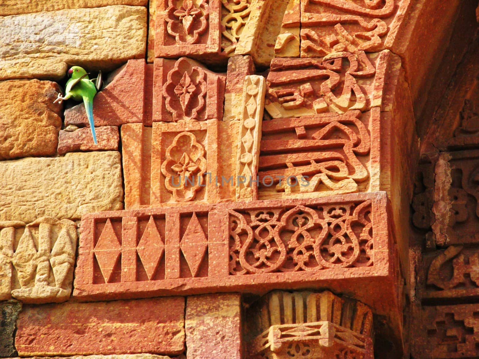 A parrot sitting in the carvings at Qutab Minar in New Delhi, India.