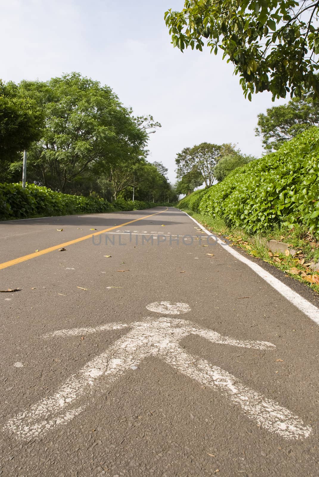 Perspective shot of a road with a pedestrian symbol painted on it.