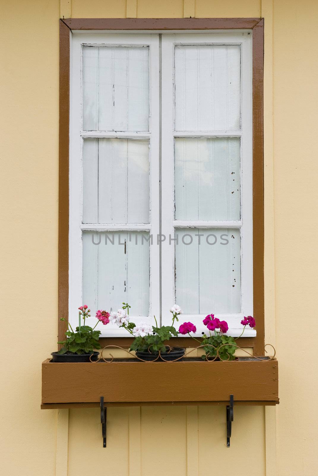 Front shot of a countryside-like window with flowerbed with three plant bowls