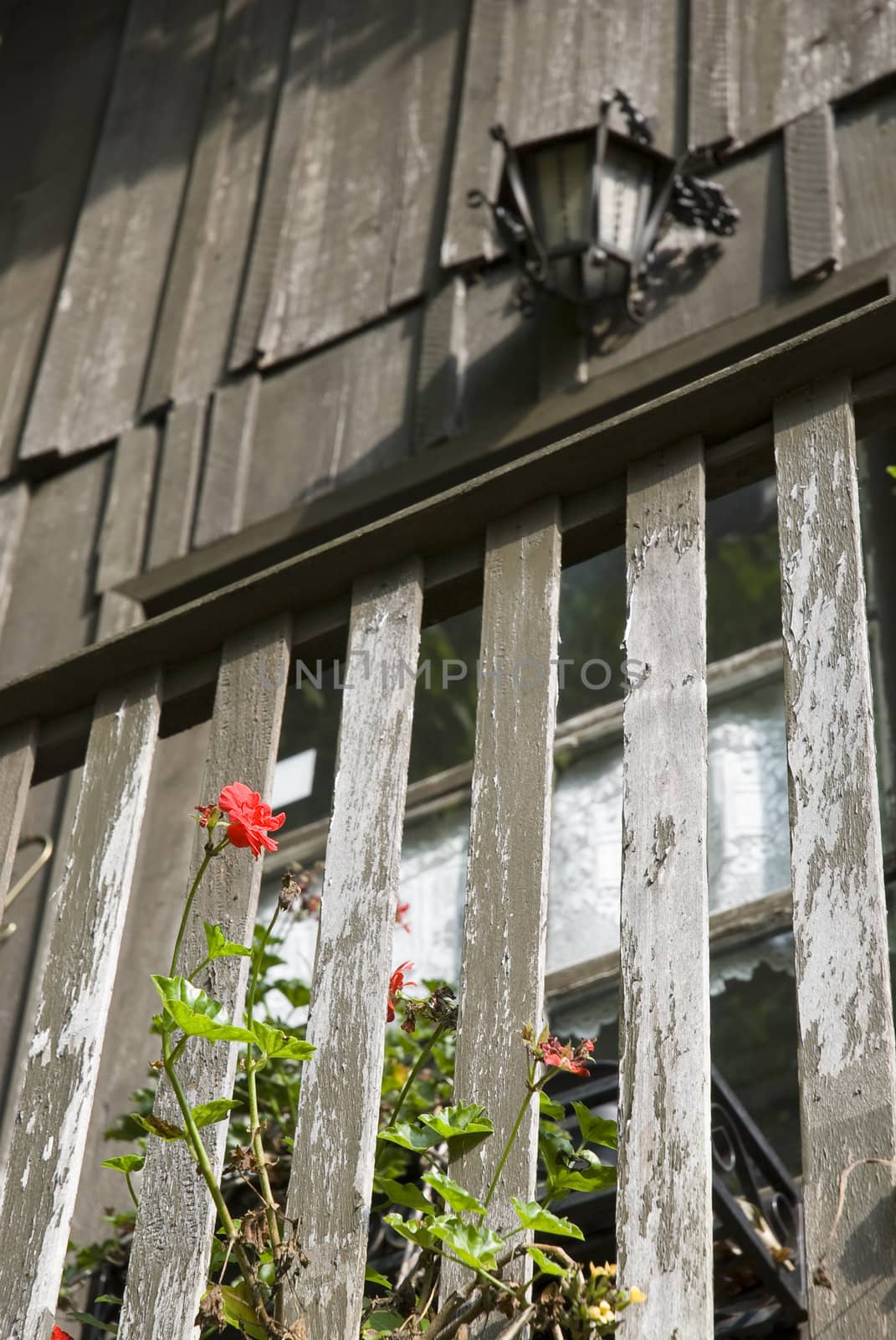 Low profile shot of a rustic wooden balcony with red rosebud as main subject and old fuel lamp in the background.