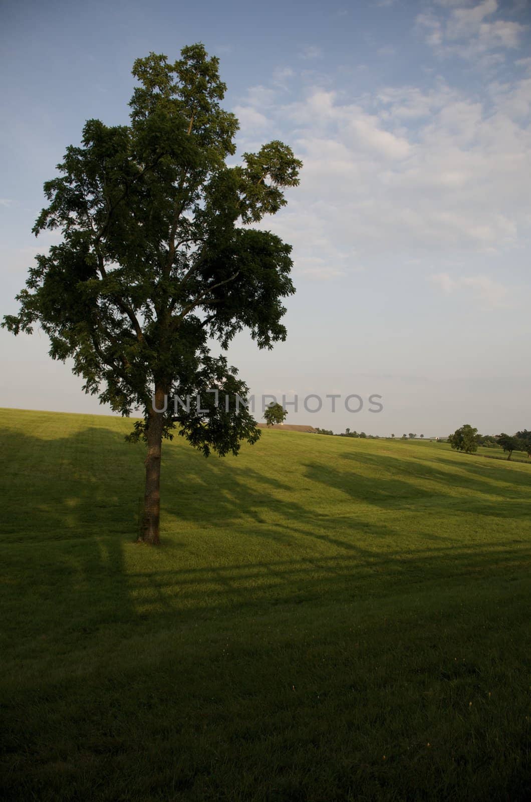Kentucky Hills by jedphoto