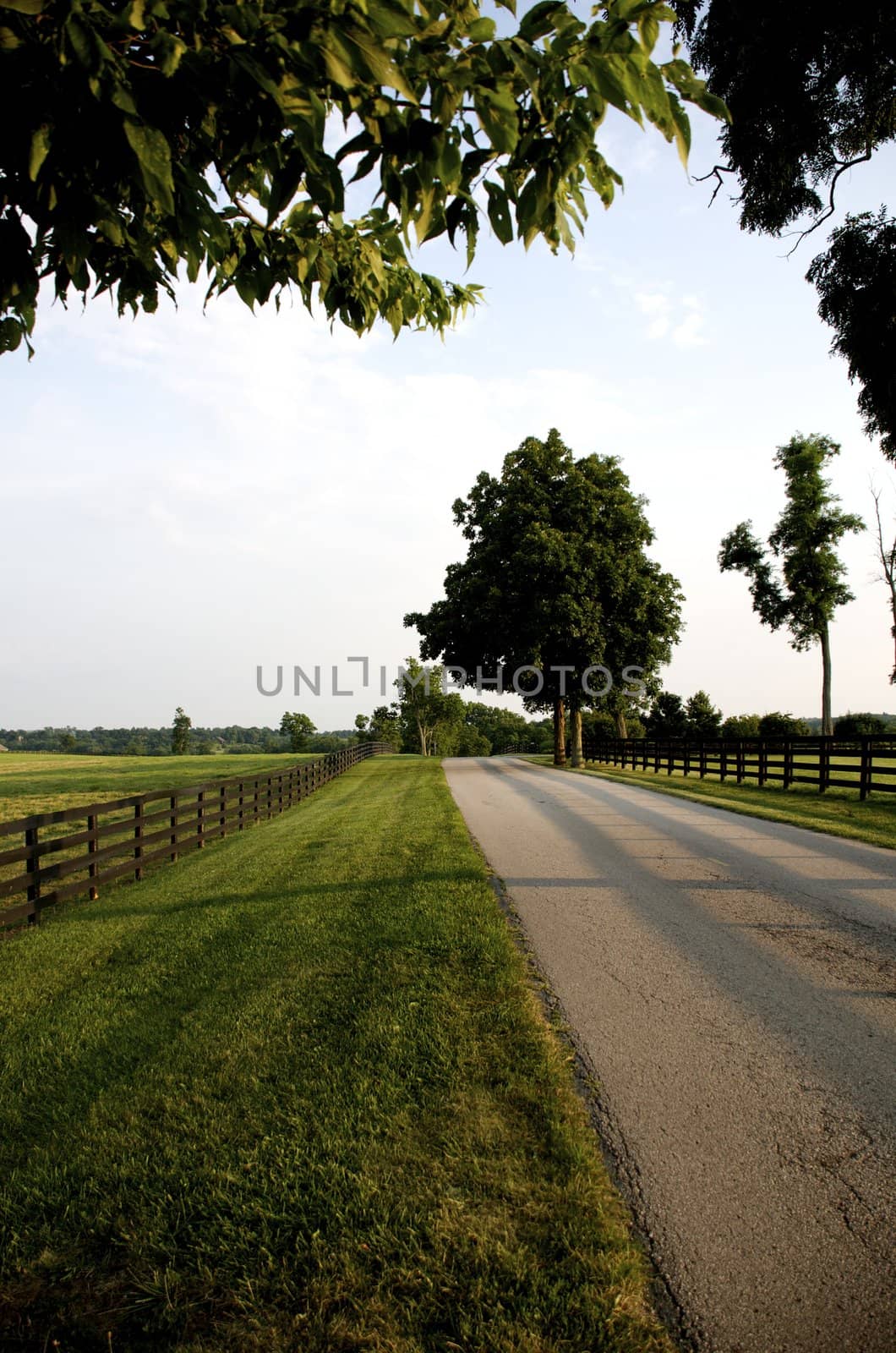 Kentucky Country Road