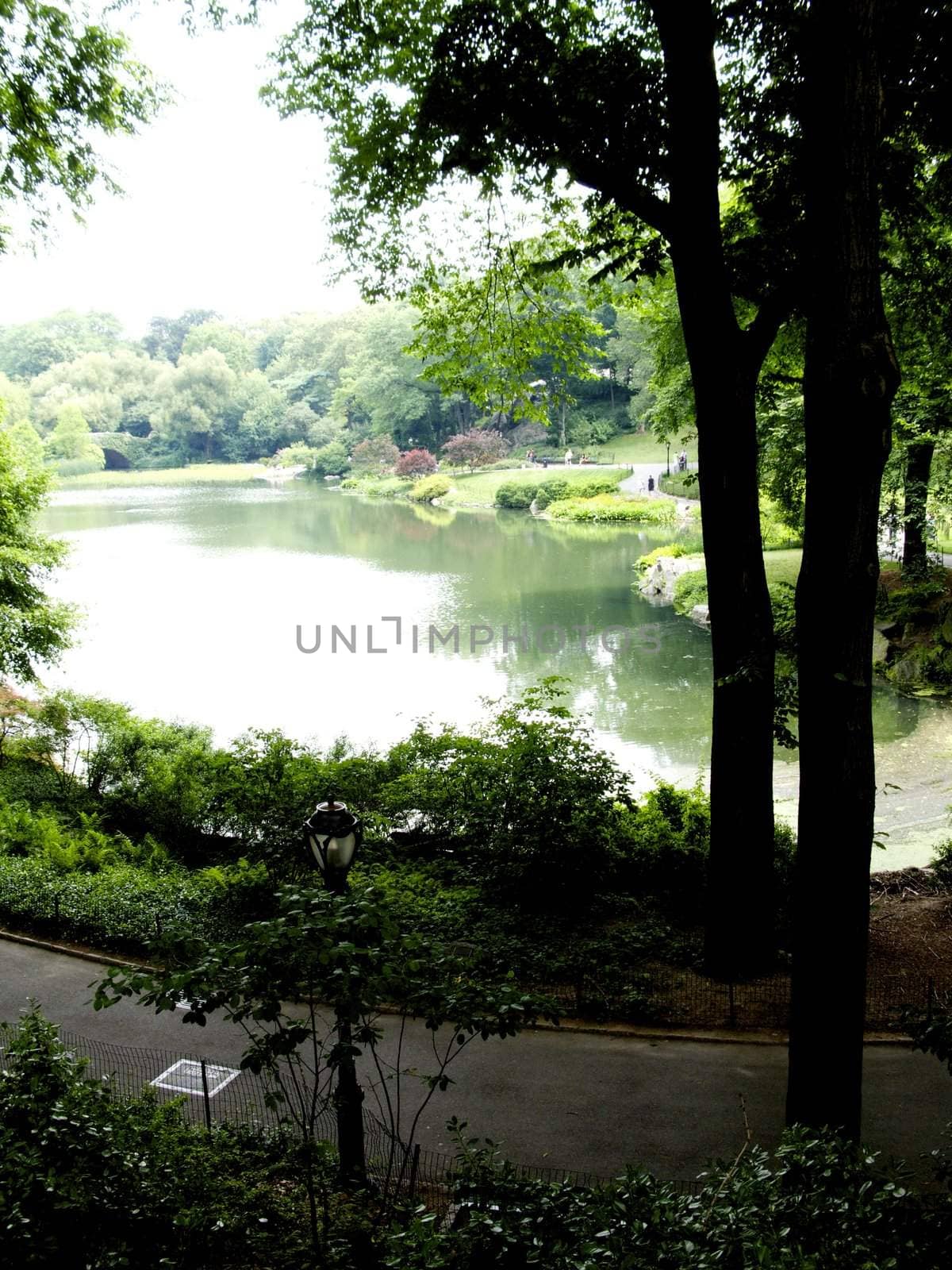 Central Park in New York City by jedphoto