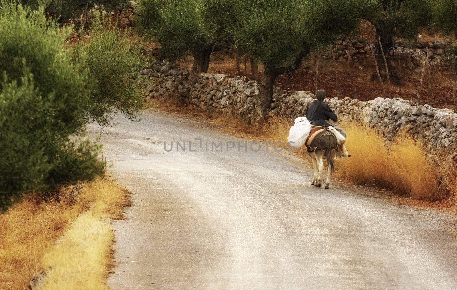 An old lady riding a donkey along a country road in Mani, southern Greece