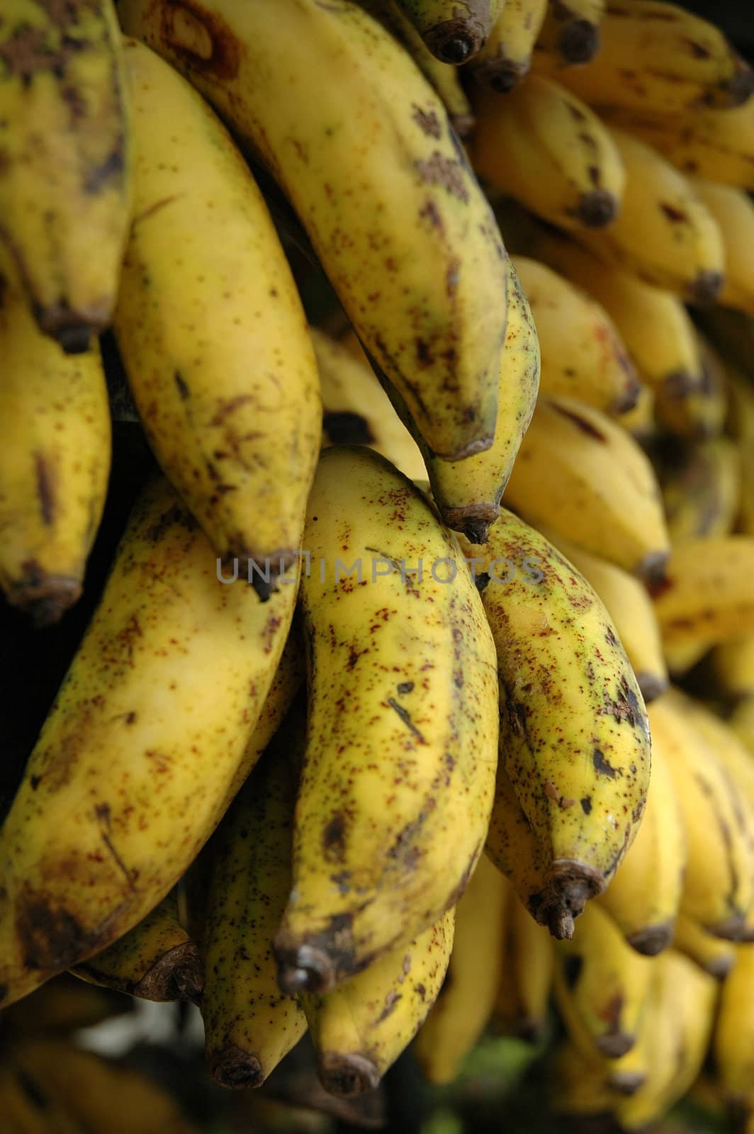 fresh banana that sold in traditional market