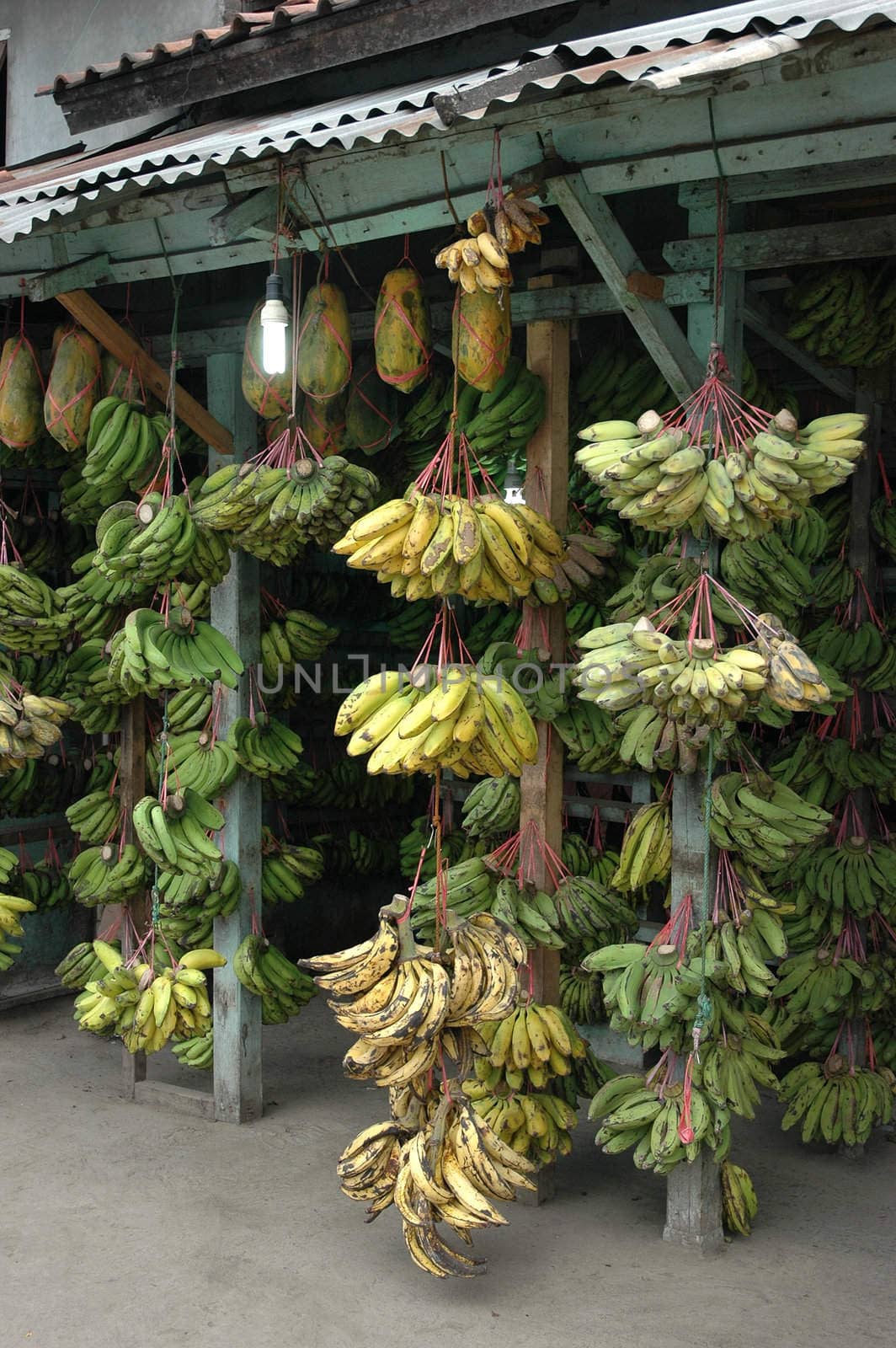 fresh banana that sold in traditional market