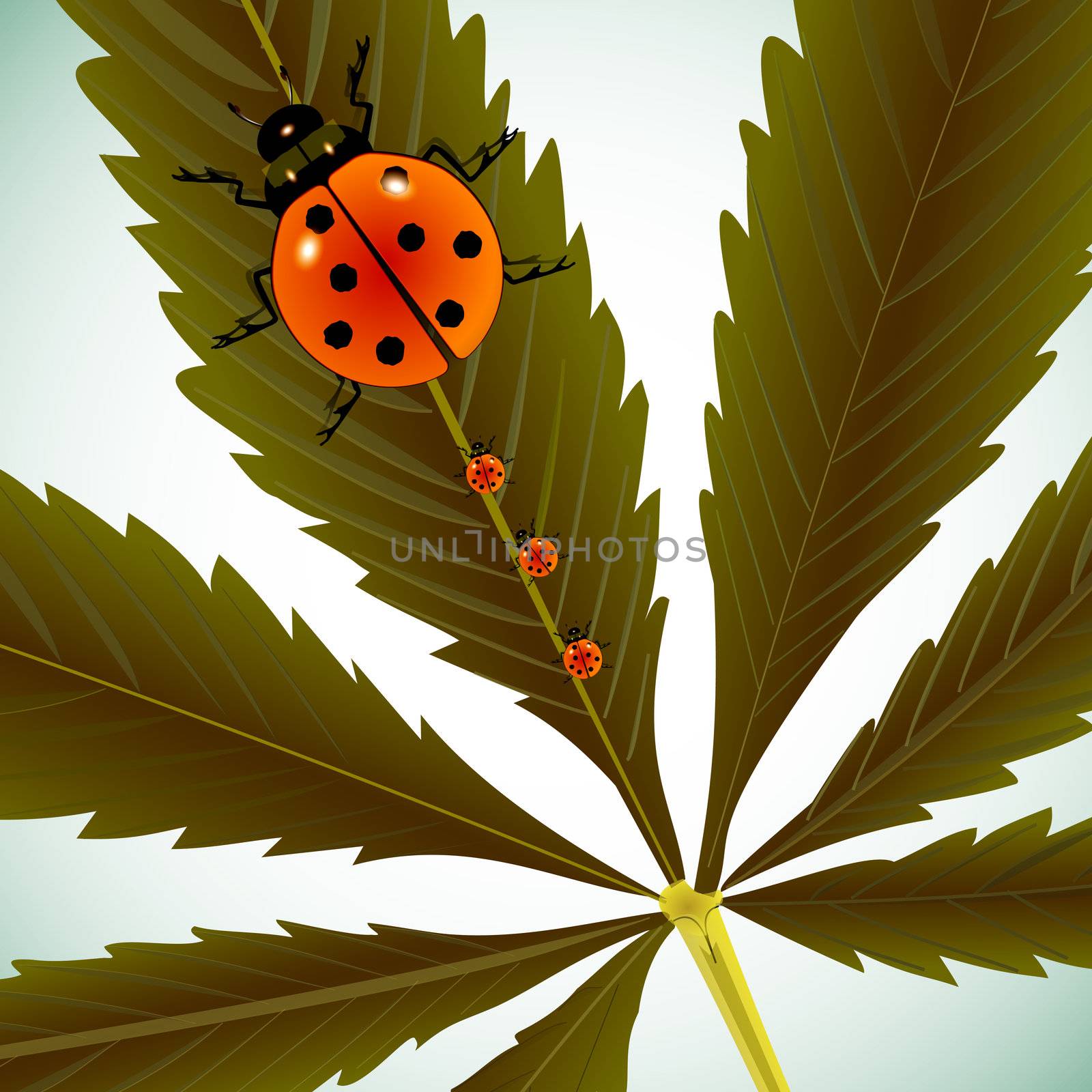 ladybugs on cannabis leaf, abstract vector art illustration; image contains clipping mask and transparency