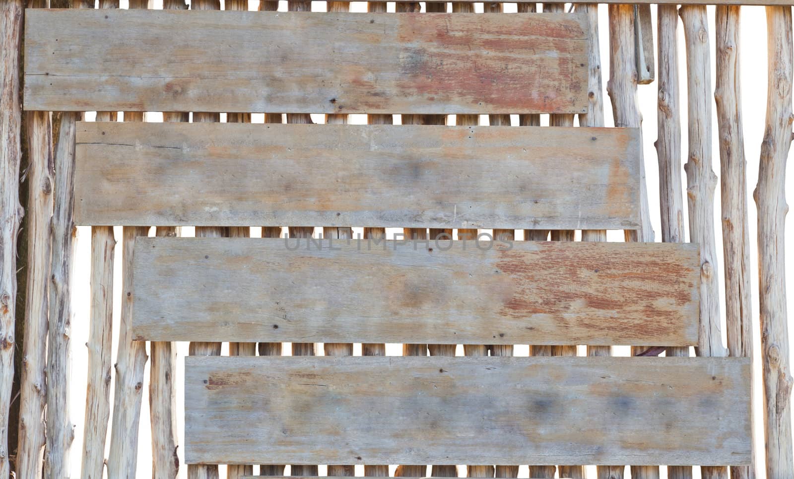 Old wooden signpost on tree background