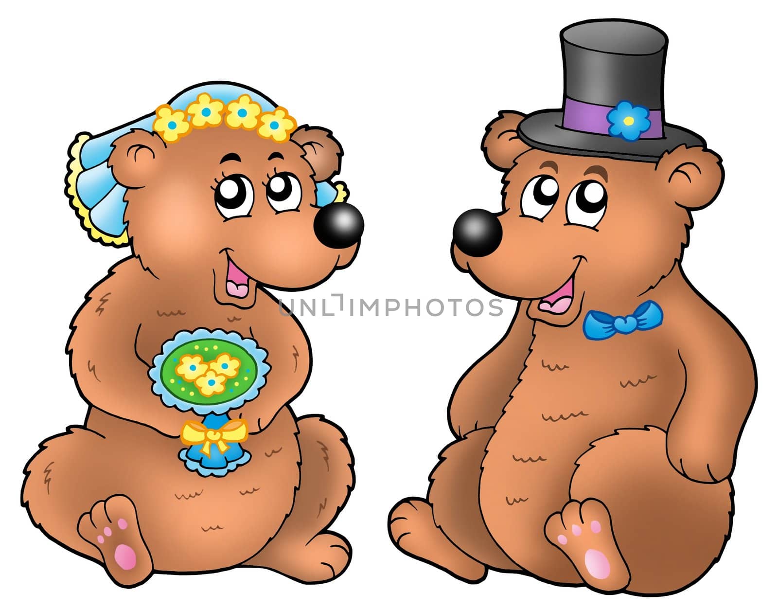 Pair of cute wedding bears - color illustration.