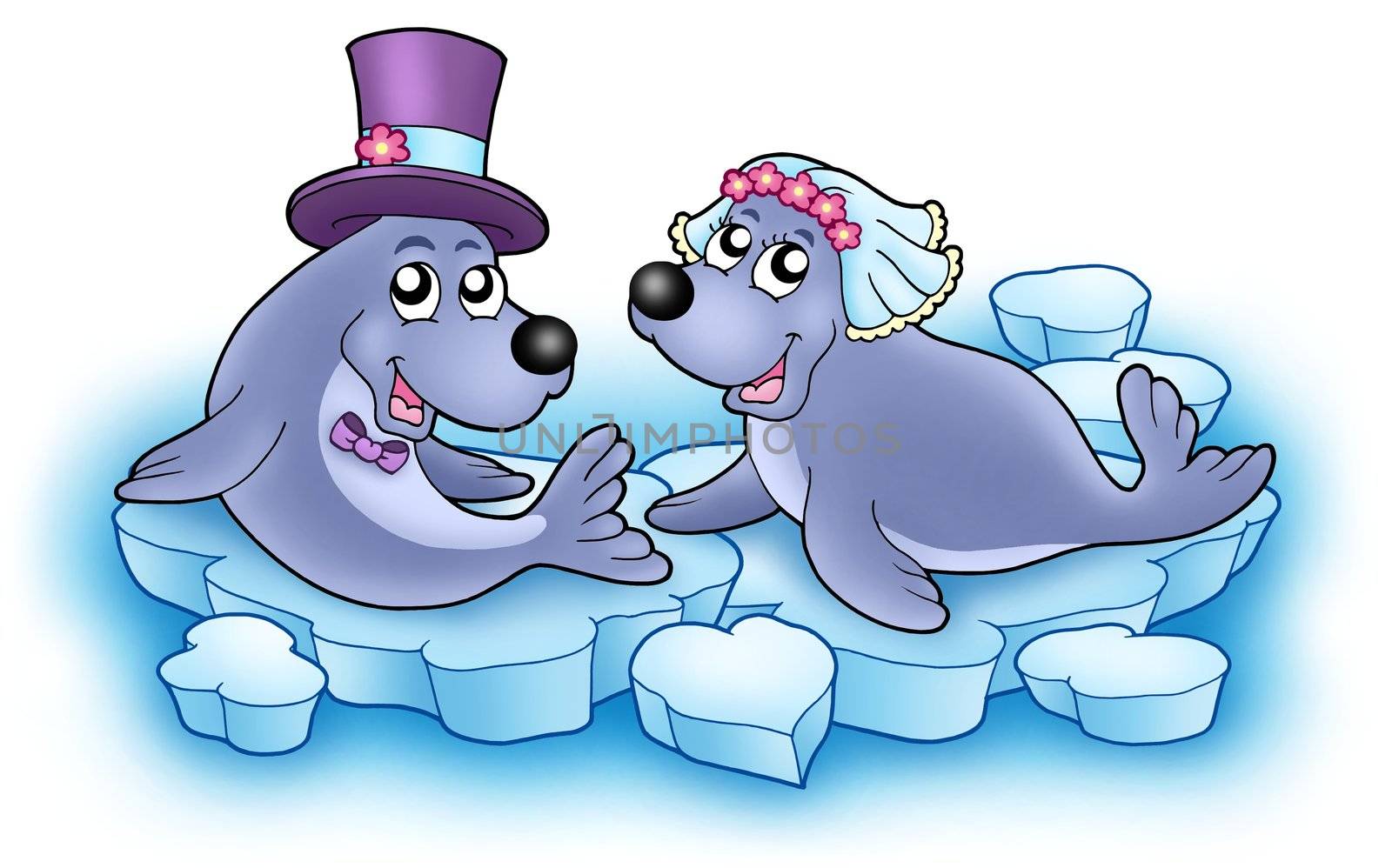 Wedding image with cute seals - color illustration.